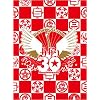 真夏の大感謝祭 LIVE(通常盤) [DVD]