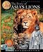 Book Story of Asia's Lions, The (New Ed).