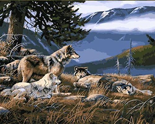 Paint By Number 16" X 20" Kit (Unframed-Box) Wolf Gang