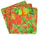 April Cornell Potholders Set of 3 - Chelsea Tangerine