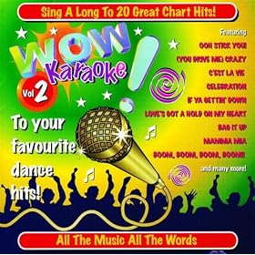 Disco Inferno (Karaoke Version)