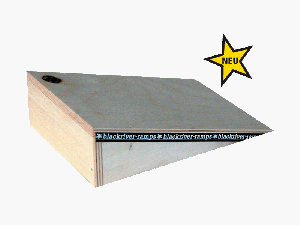 Blackriver Fingerboard Rampe 