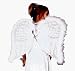 RG Costumes 65275 Marabou Angel Wings Costume - Size Adult