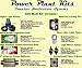 600w Power Plant Kit