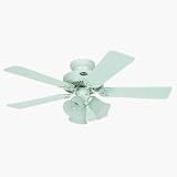 Hunter Fan 21230 42 Ceiling Fan