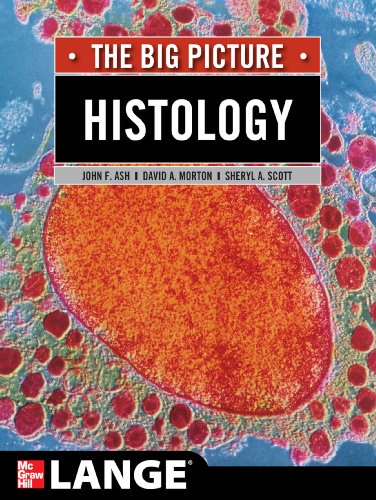 Histology: The Big Picture: The Big Picture (LANGE The Big Picture)