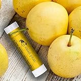 Beauty by Earth LIP BALM ★ 100% Natural Beeswax Uniquely Refreshing Exotic Flavors Lip Care with Shea Butter, Vitamin E, Cocoa Butter - Long Lasting, Moisturizing Repair for Dry and Chapped Lips. No Toxic Ingredients - Made in the USA. 4 Pack