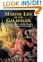 Marine Life of the Galapagos: Divers' Guide to the Fish, Whales, Dolphins and Marine Invertebrates, Second Edition (Odyssey Illustrated Guides)