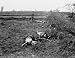 1898 PHILIPPINE INSURRECTION DEAD SOLDIERS PHOTO