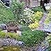 Miniature Fairy Garden Vine Twig Bench (3 Pack)