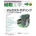 細胞工学 Ｖｏｌ．３０Ｎｏ．１１（２０１１） 特集オルガネラ・モデリング−ベールを脱ぐ分子設計図<br>藤本 豊士監修　 <br>1890円<br>ISBN:9784780901245　