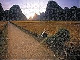 Jigsaw of Bike and Ricefield from AWL Discover Images