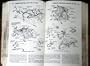 Chilton's Repair and Tune-Up Guide Chevy Mid-Size 1964-81: Chevelle 1964-77, Laguna S-3 1974-77, Malibu 1978-81, Monte Carlo 1970-81, El Camino 1964 (Chilton's Repair Manual)