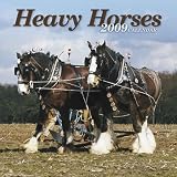 HEAVY SHIRE HORSES 2009 WALL CALENDAR NEW SEALED