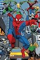 The Amazing Spiderman 4' x 6' Area Rug SPIDER-MAN RUG