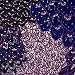 Softbandz&Acirc;&reg; 3-in-1 Headband - "Arabian Night"