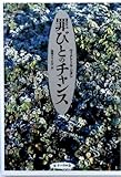 罪びとのチャンス-