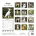 Whippet Calendar - Breed Specific Whippet Calendar - 2015 Wall calendars - Dog Calendars - Monthly Wall Calendar by Avonside