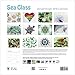 Donald Verger 2016 Sea Glass Fine Art Nature Wall Calendar. 12x12. Best quality unique Romantic Valentines Day gift for women, men & kids