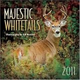 Cover for 'Majestic Whitetails 2011'
