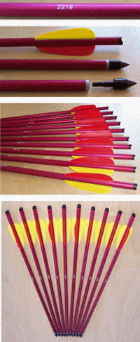 BSW RED BOLT - 2219