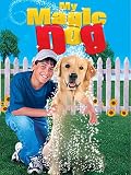 My Magic Dog