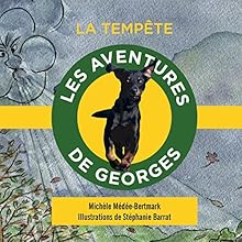 La tempête (Les aventures de Georges) | Livre audio Auteur(s) : Michèle Médée-Bertmark Narrateur(s) : Michèle Médée-Bertmark