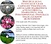 The Guerilla Marketing, Building Effective Lead Capture Web Pages, Affiliate Marketing for Professional Football Team Jackets Businesses