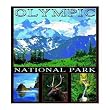 Olympic National Park Coverlet