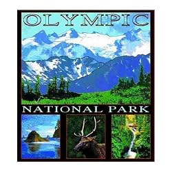 Olympic National Park Coverlet