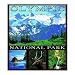 Olympic National Park Coverlet