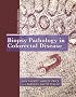 Biopsy Pathology in Colorectal Disease