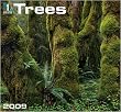Trees 2009 Wall Calendar