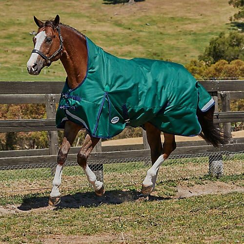 Weatherbeeta Comfitec Plus Dynamic High Neck Blanket Lite Hunter/Navy 78"