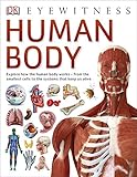 Human body