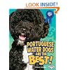 Portuguese Water Dogs Are the Best! (Best Dogs Ever)