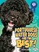Portuguese Water Dogs Are the Best! (The Best Dogs Ever)