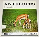 Antelopes