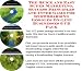 Book The Quick and Easy Super Marketing, Success Principles and Inner Game for Snowboarding Goggles On-line Businesses 3 CD Pack