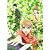 ちはやふる Vol.8(Biu-ray) [Blu-ray]