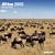 2008 Africa Grid Calendar