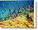 Oceans Below Canvas Print / Canvas Art - Artist Mark Madere