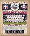 Philadelphia Phillies 2008 World Series Champions Healy Plaque