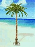 Pre-lit Palm Tree with 300 Clear Lights - 3204 60C