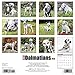 2016 Just Dalmatians Wall Calendar