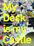 My Desk is my Castle: Exploring Personalization Cultures
