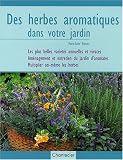 Des Herbes Aromatiques Dans Votre Jardin
