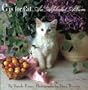 C Is for Cat: An Alphabet Album