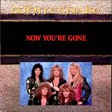 61seuEfxPrL. SL160  Whitesnake Now Youre Gone (Remix) / Wings Of The Storm UK Tour 45 W/PS