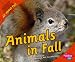 Books : Animals in Fall (Pebble Plus)